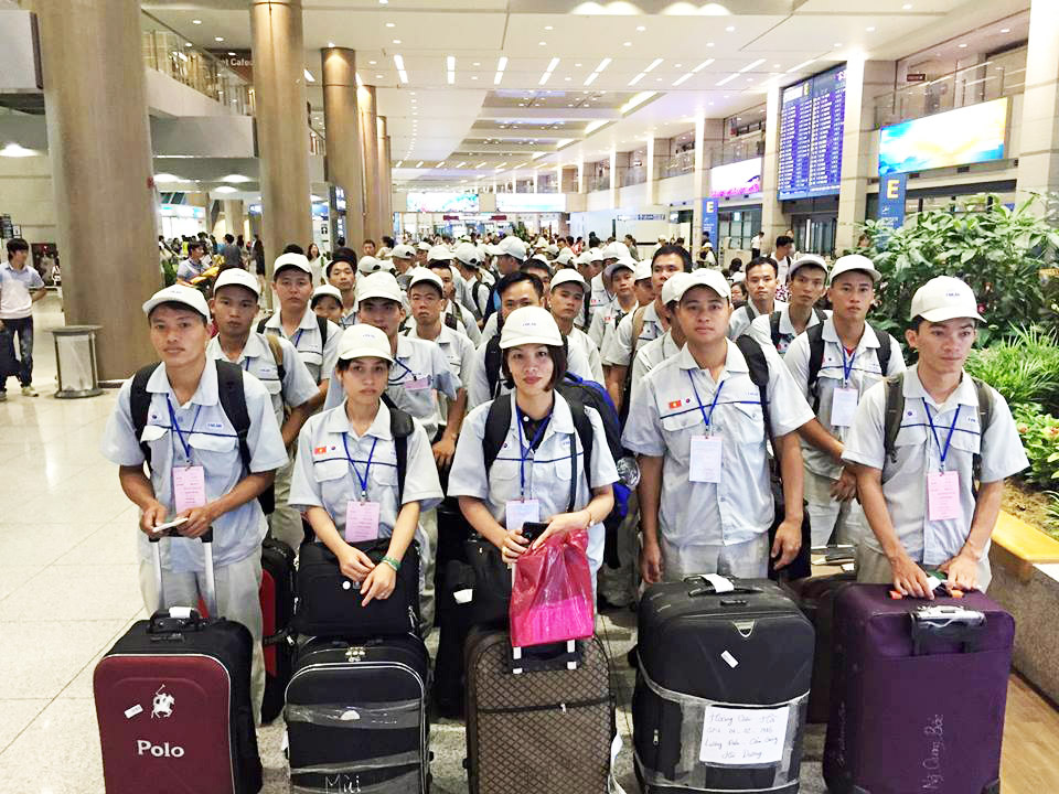 Xuất khẩu lao động Hàn Quốc thời vụ