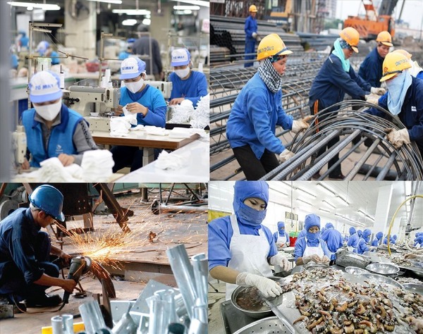 Bảo hiểm bắt buộc cho người lao động giúp giảm gánh nặng cho hệ thống y tế
