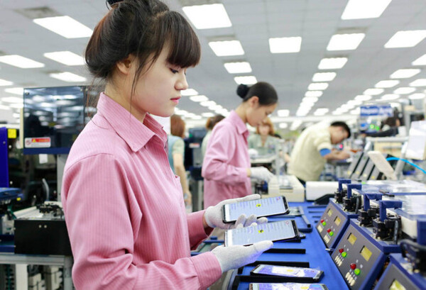 Tìm hiểu về bảo hiểm bắt buộc cho người lao động