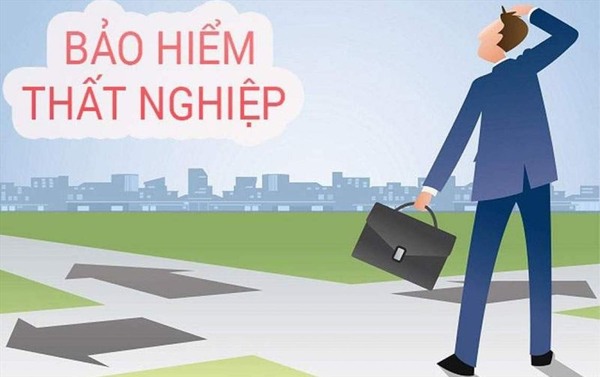 Tham khảo bảo hiểm thất nghiệp bao lâu được lãnh?
