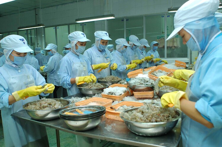 Tìm hiểu về thị trường xuất khẩu lao động Nhật Bản 2023