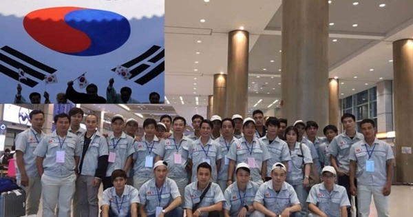 Tìm hiểu các bước đi xuất khẩu lao động Hàn Quốc cùng Việc làm Vĩnh Phúc