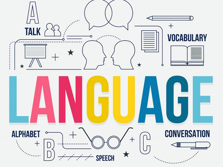 Công việc gì cần chứng chỉ ngoại ngữ? - Giải đáp cùng Trung Tâm Dịch vụ việc làm Vĩnh Phúc