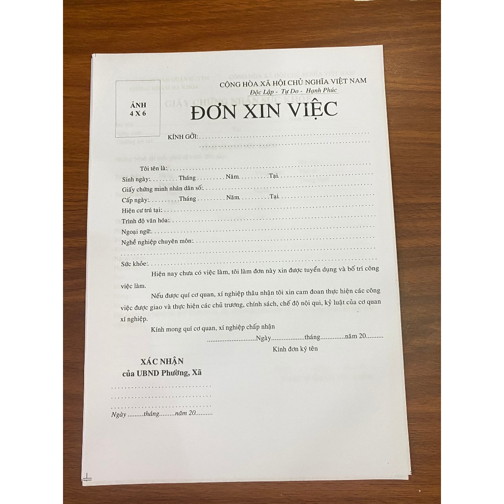 Mẫu đơn xin việc làm công nhân 2024