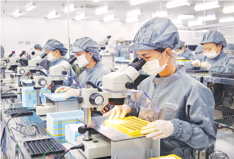 Đến Trung tâm giới thiệu việc làm để được tư vấn về xuất khẩu lao động Úc cần những điều kiện gì