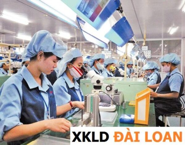 Xuất khẩu lao động Đài Loan cho cặp vợ chồng